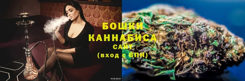 hydra   Сосновка  Марихуана OG Kush 